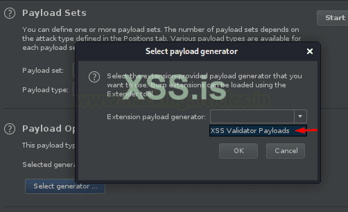 Burp Suite для пентестинга: XSS Validator
