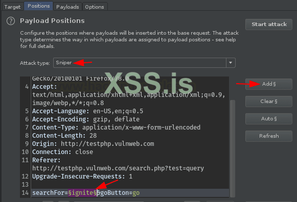 Burp Suite для пентестинга: XSS Validator