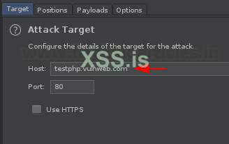 Burp Suite для пентестинга: XSS Validator