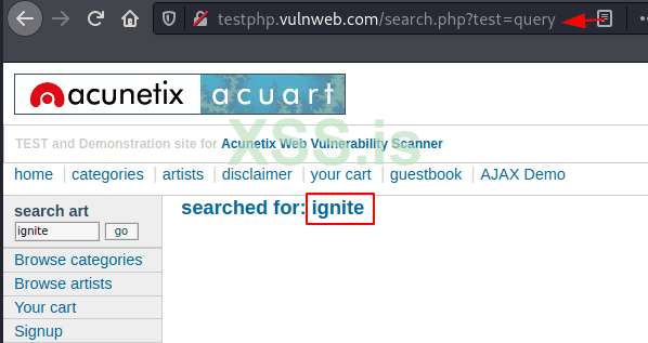 Burp Suite для пентестинга: XSS Validator