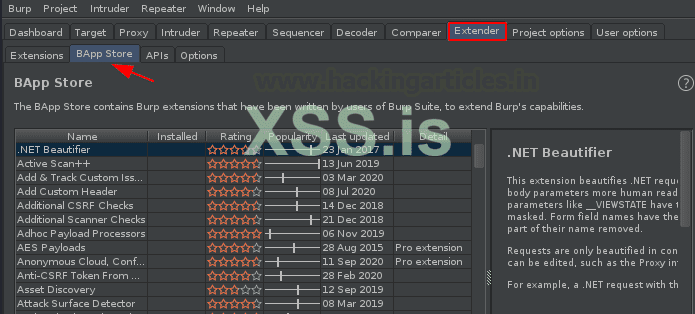 Burp Suite для пентестинга: XSS Validator