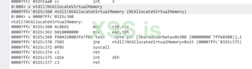 02-windbg-NtAllocateVirtualMemory.PNG