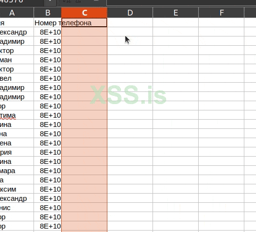 Peek 2020-08-30 02-27.gif