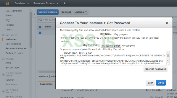 Дедик Amazon 5.png