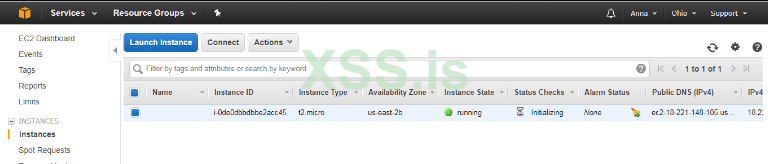 Дедик Amazon 4.png