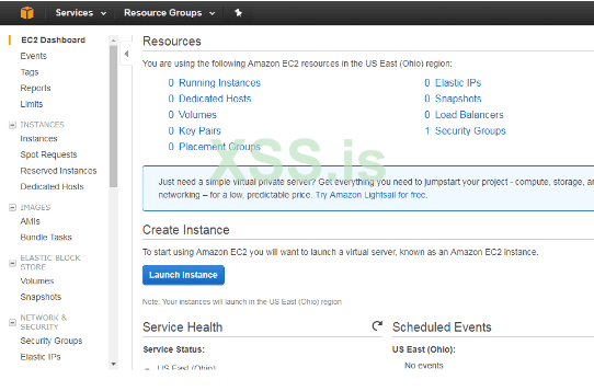 Дедик Amazon 2.png