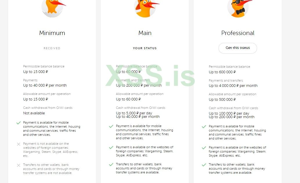 qiwi.jpg