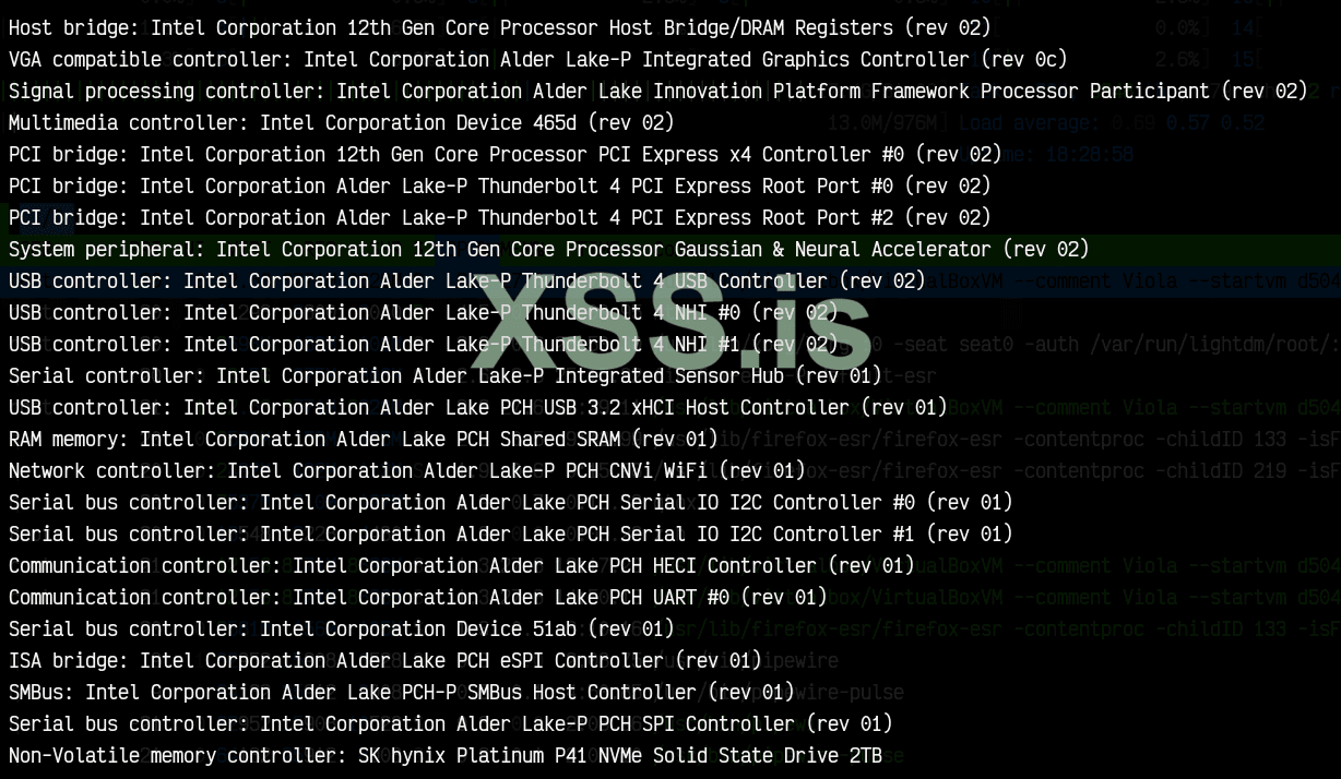 lspci.png