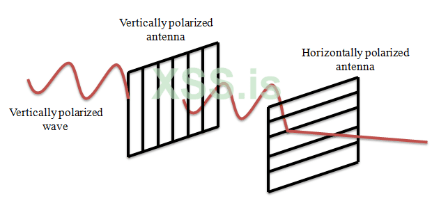 antenna-polarization-types.png