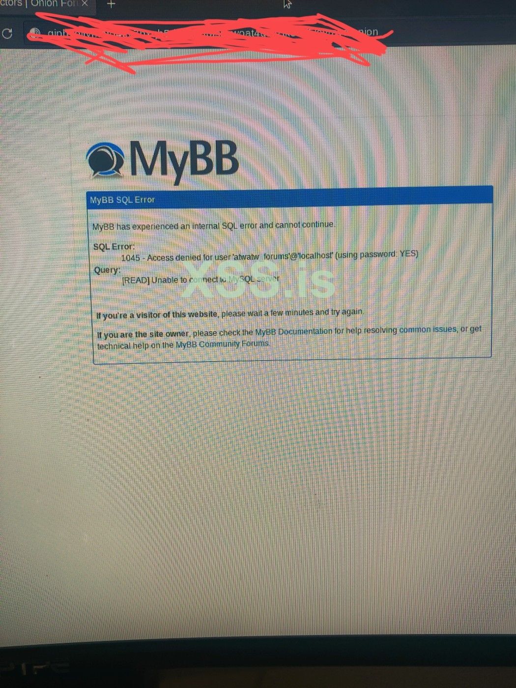 IMG_20230405_153803 (1).jpg