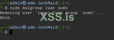 sudo delgroup ivan sudo