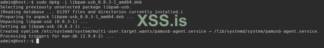 sudo dpkg -i libpam-usb_версия_amd64.deb