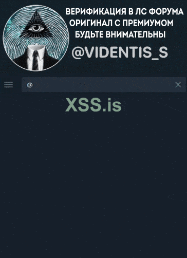 Videntis_S (small).gif