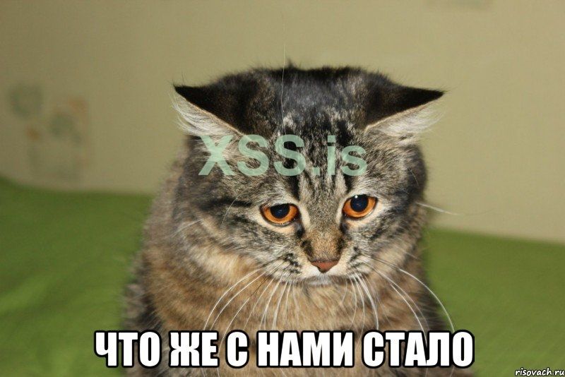 chto_she_s_nami_stalo.jpeg