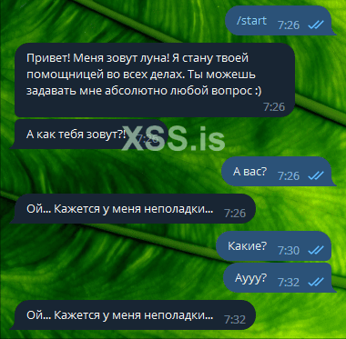 2023.02.26 07-36-55.png