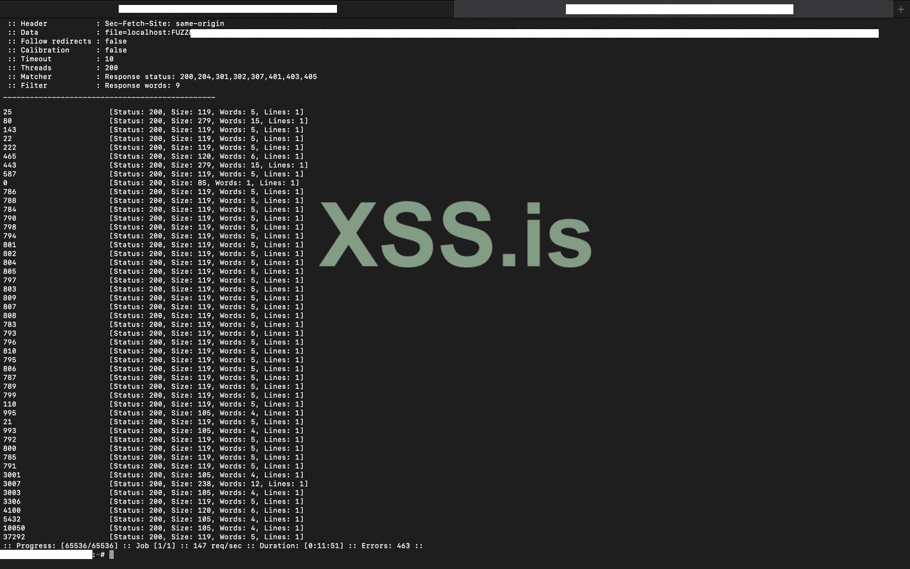 Изображение [6]: Проверка всех портов с помощью ffuf