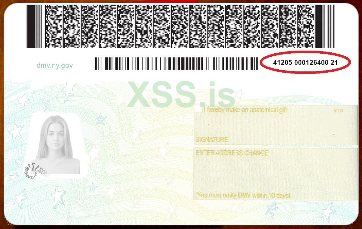 New-York-State-Driver-License-Back2.jpg