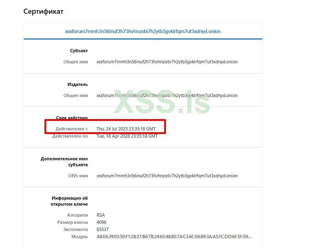 Скриншот 25-07-2025 225647.jpg