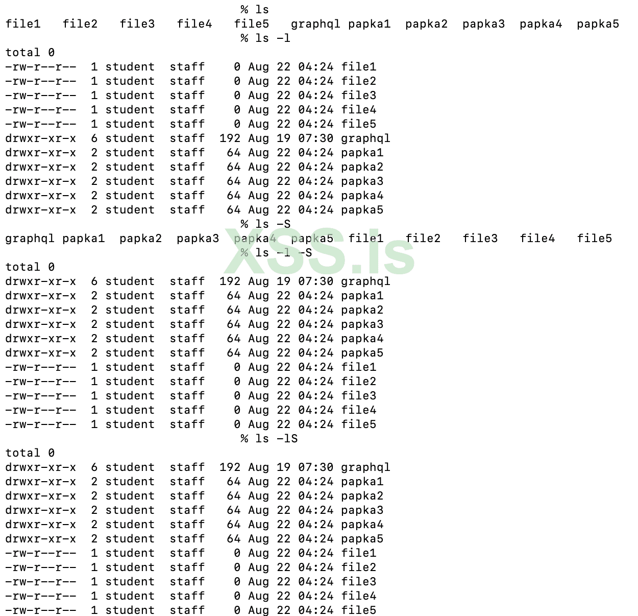 Изображение [1]: команда ls