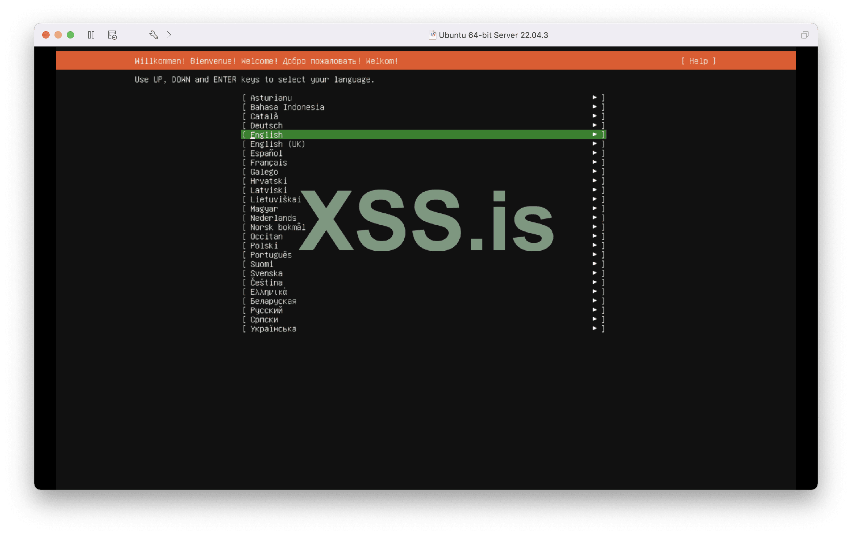 Изображение [5]: Выбор языка