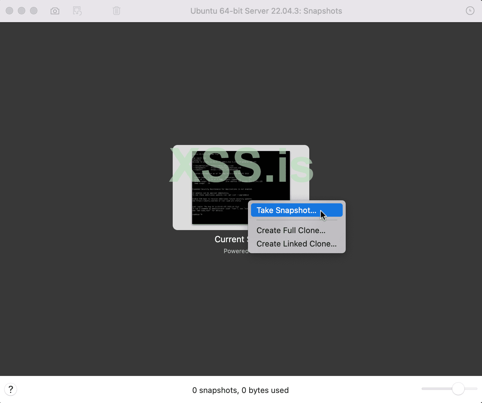 Изображение [25]: Создание моментального снимка (snapshot)