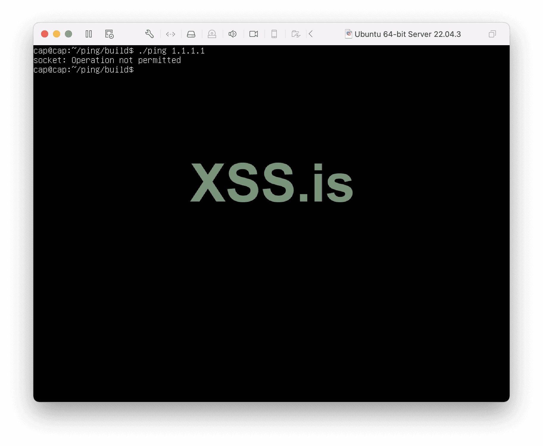 Изображение [27]: ./ping 1.1.1.1