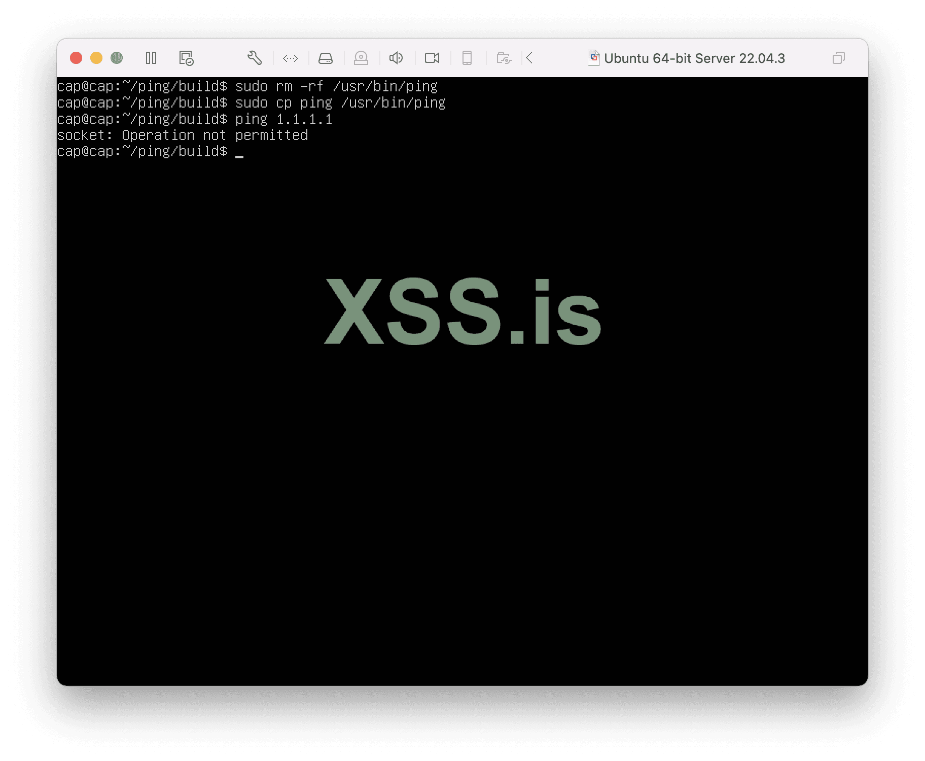 Изображение [28]: ping 1.1.1.1