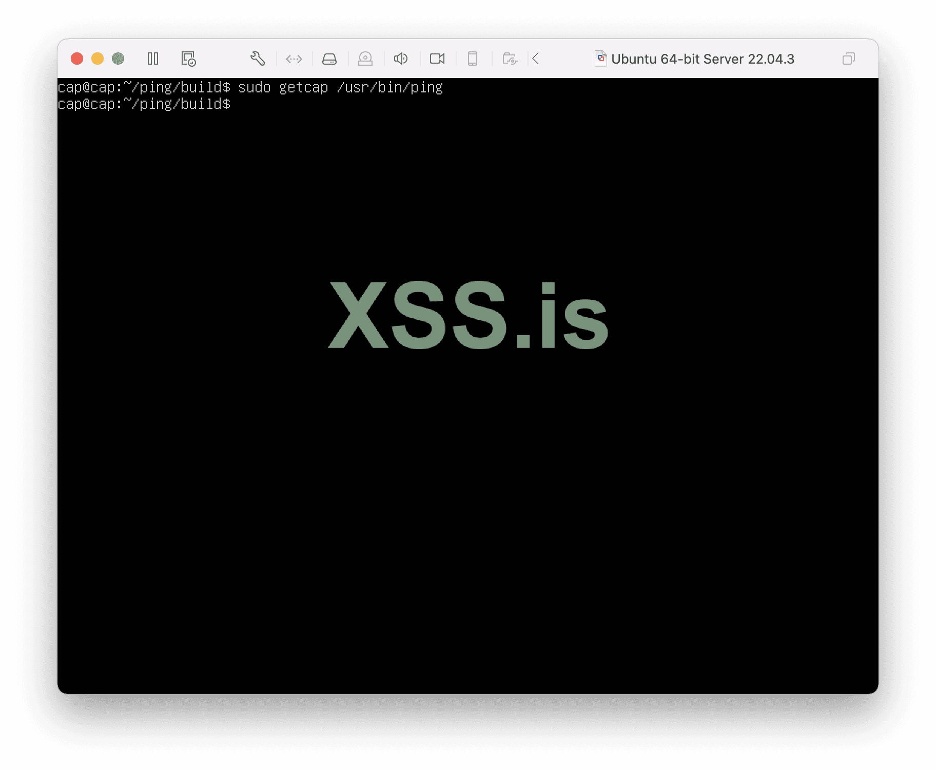 Изображение [29]: Получение возможностей пинга