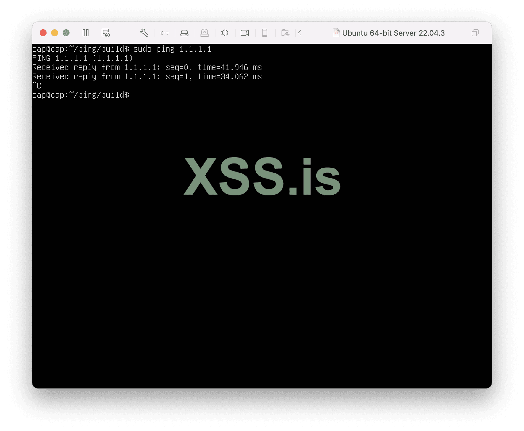 Изображение [30]: sudo ping 1.1.1.1