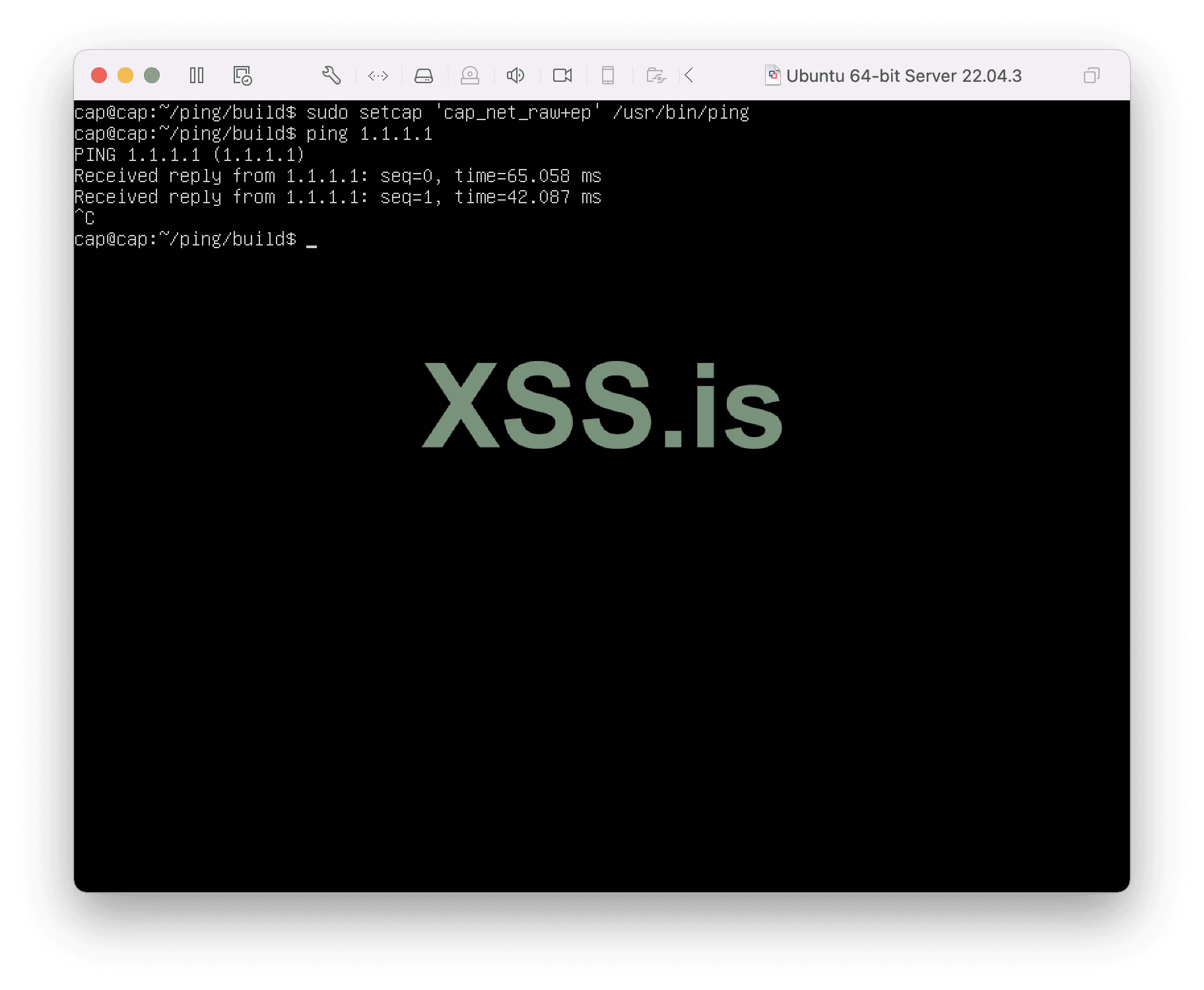 Изображение [31]: Добавление возможности для ping