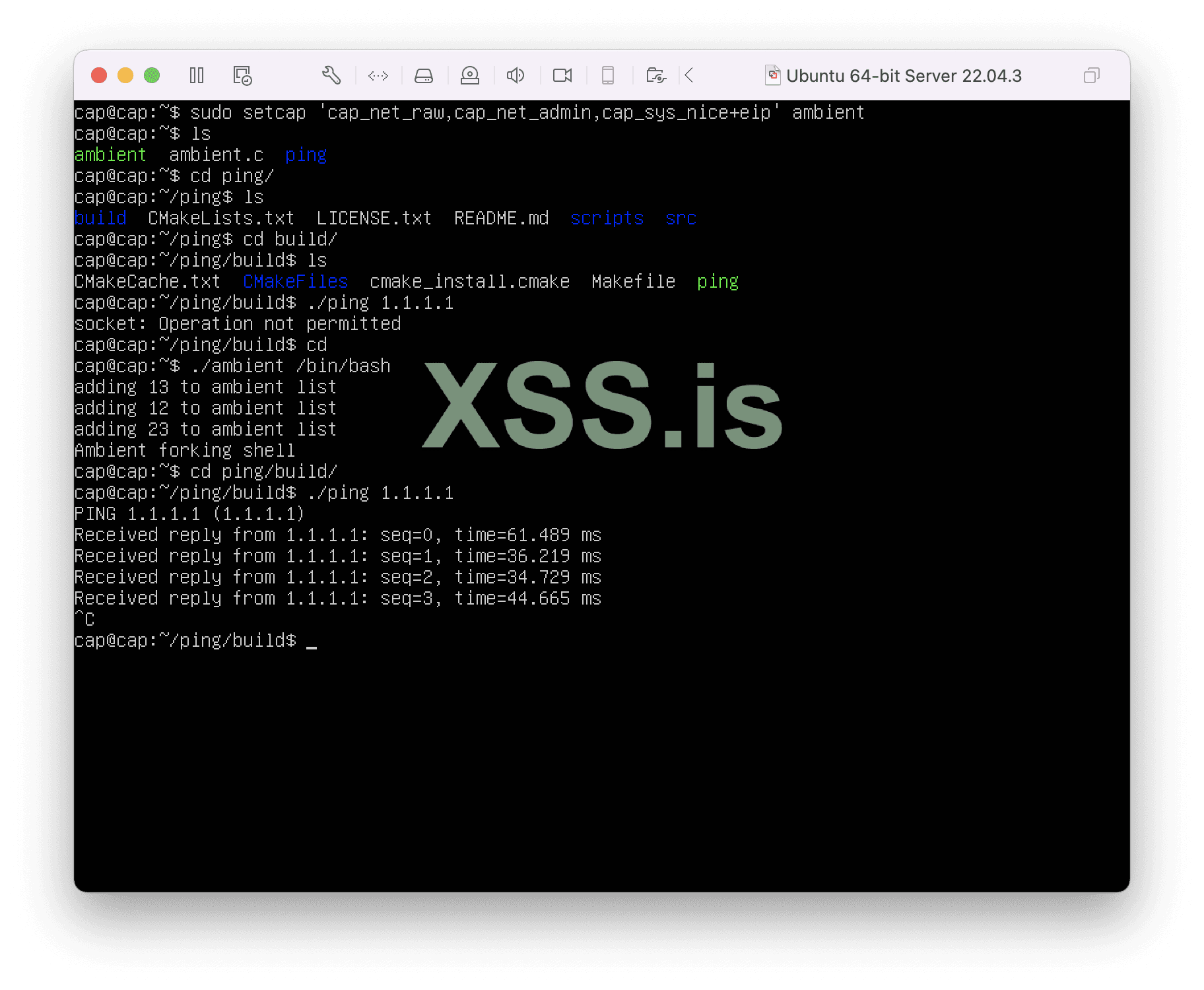 Изображение [36]: Тестирование возможности ambient