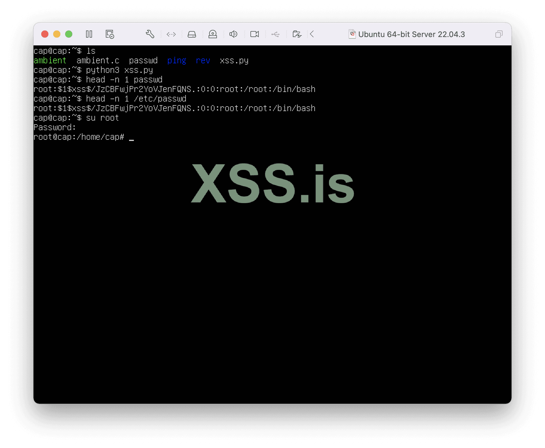 Изображение [44]: Решение лабораторной задачи