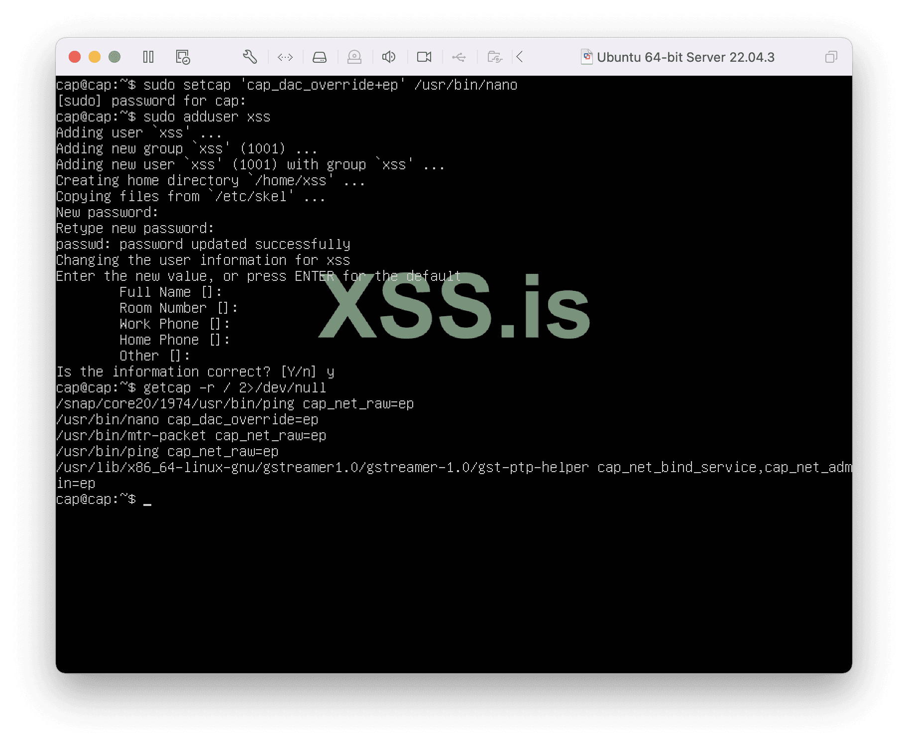Изображение [45]: Создание лаборатории