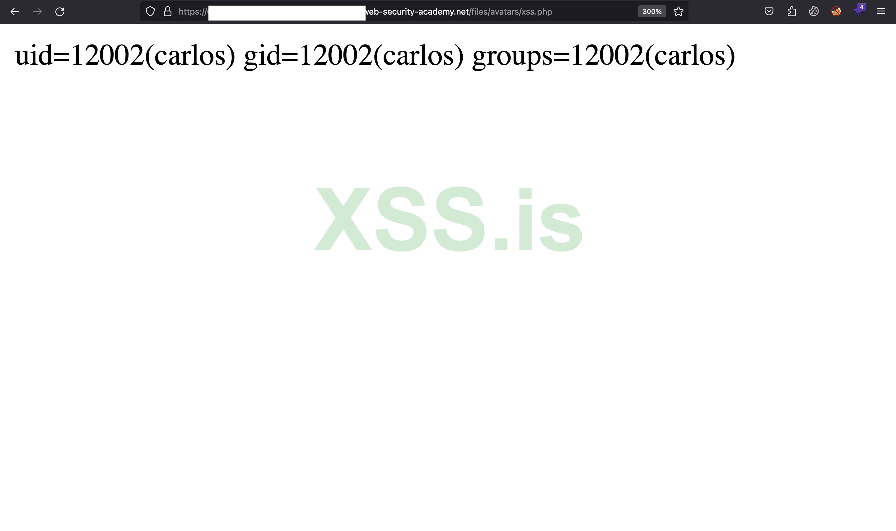 Изображение [7]: Открытие xss.php