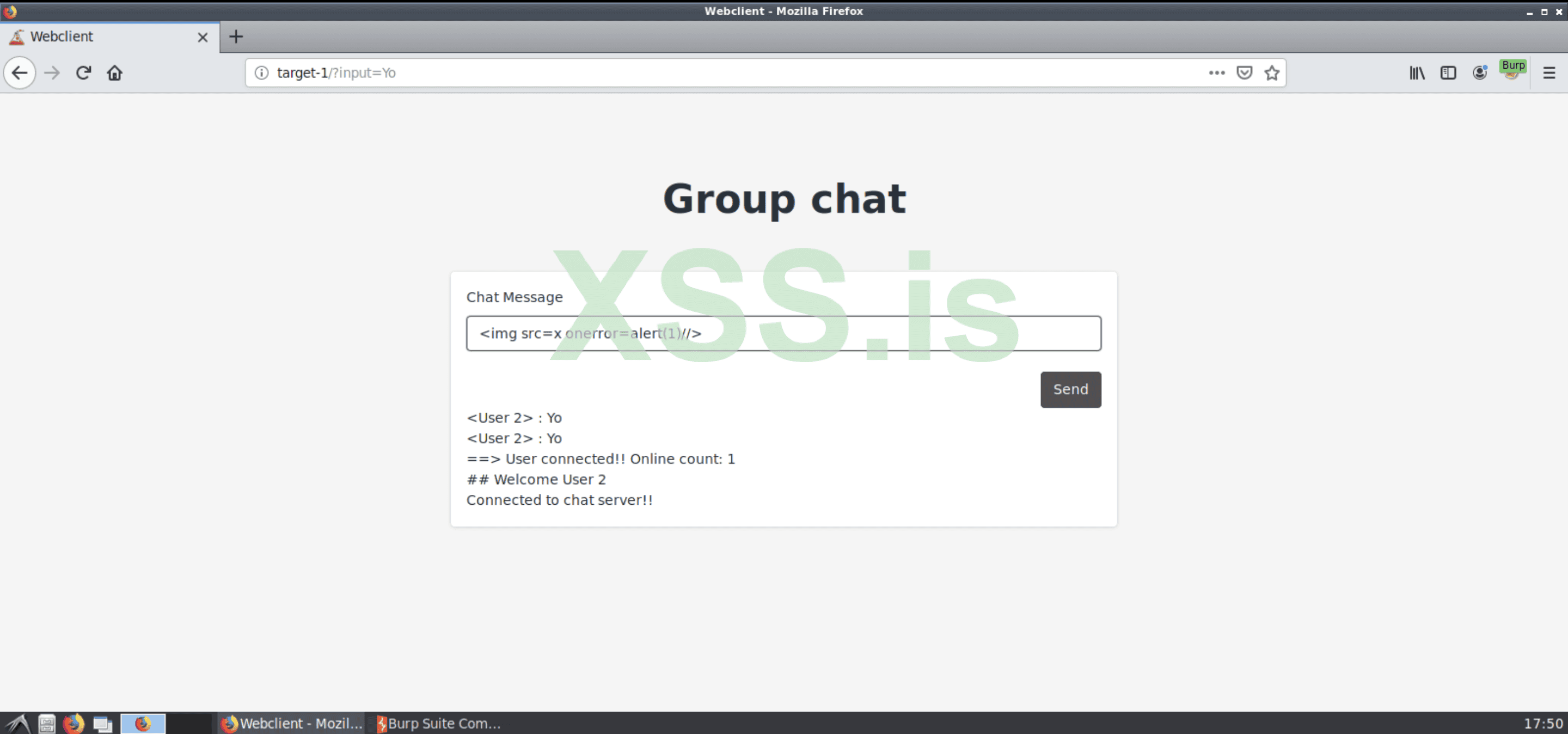 Изображение [13]: Пробуем полезную нагрузку