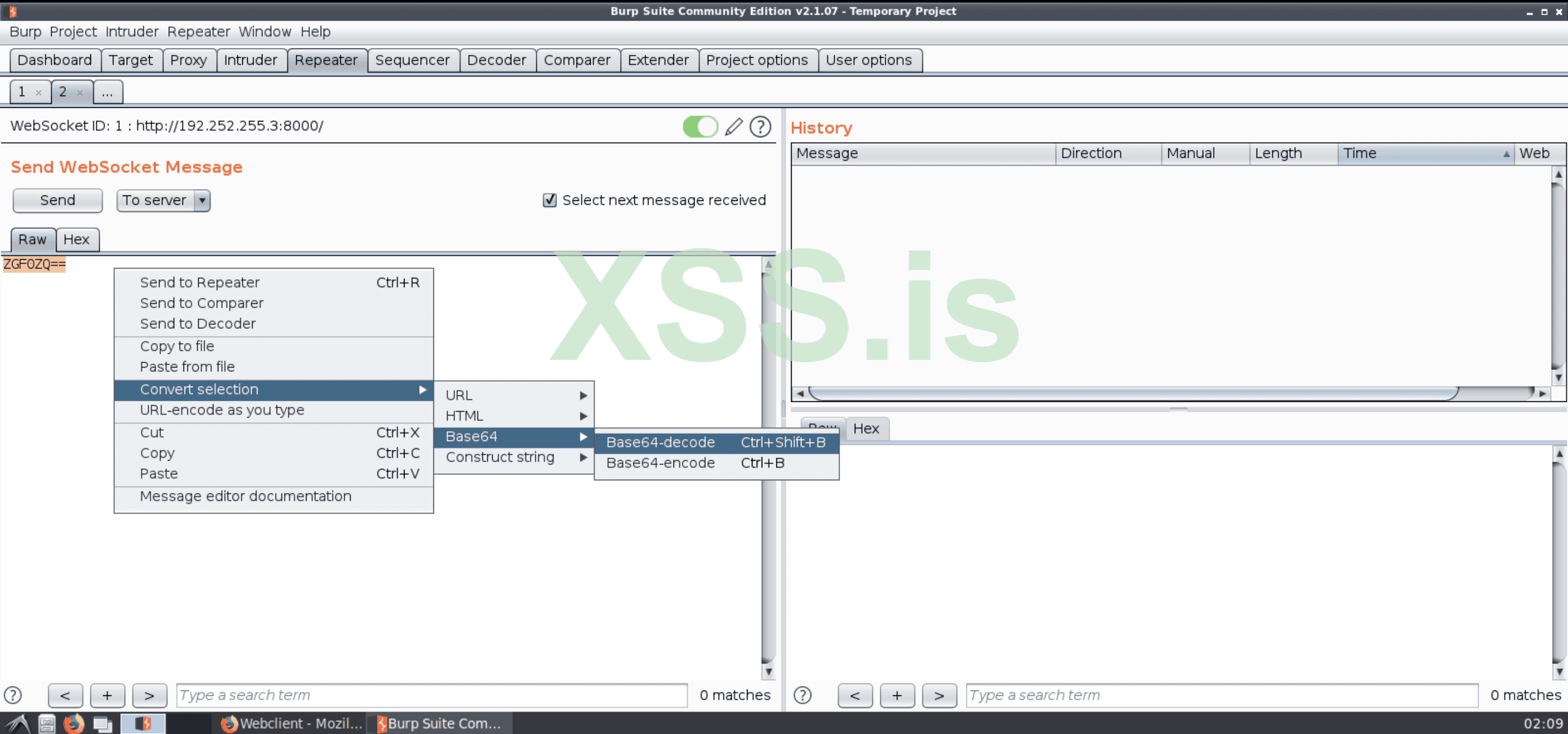 Изображение [20]: Декодирование полезной нагрузки, закодированной в base64