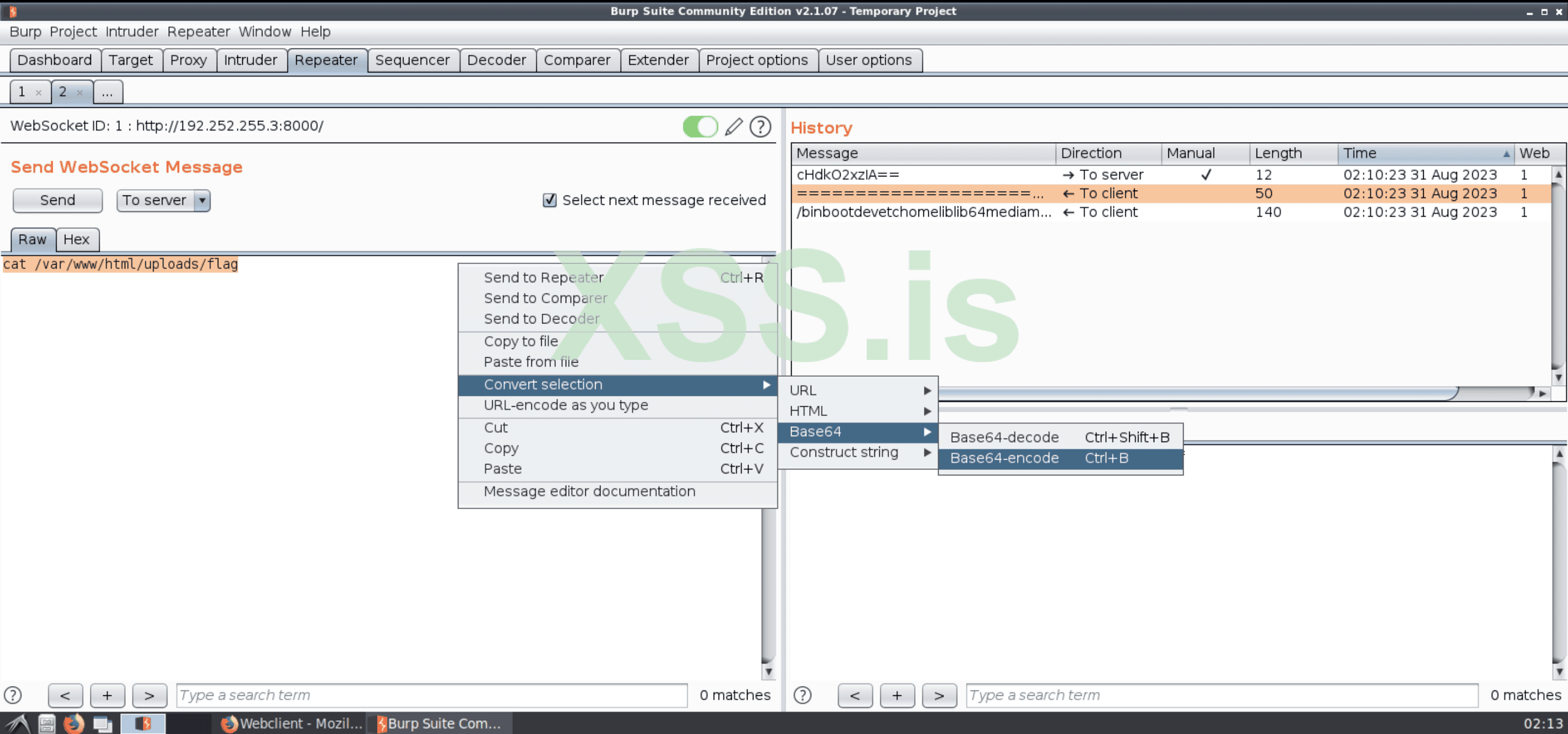 Изображение [22]: Полезная нагрузка, предназначенная для получения флага