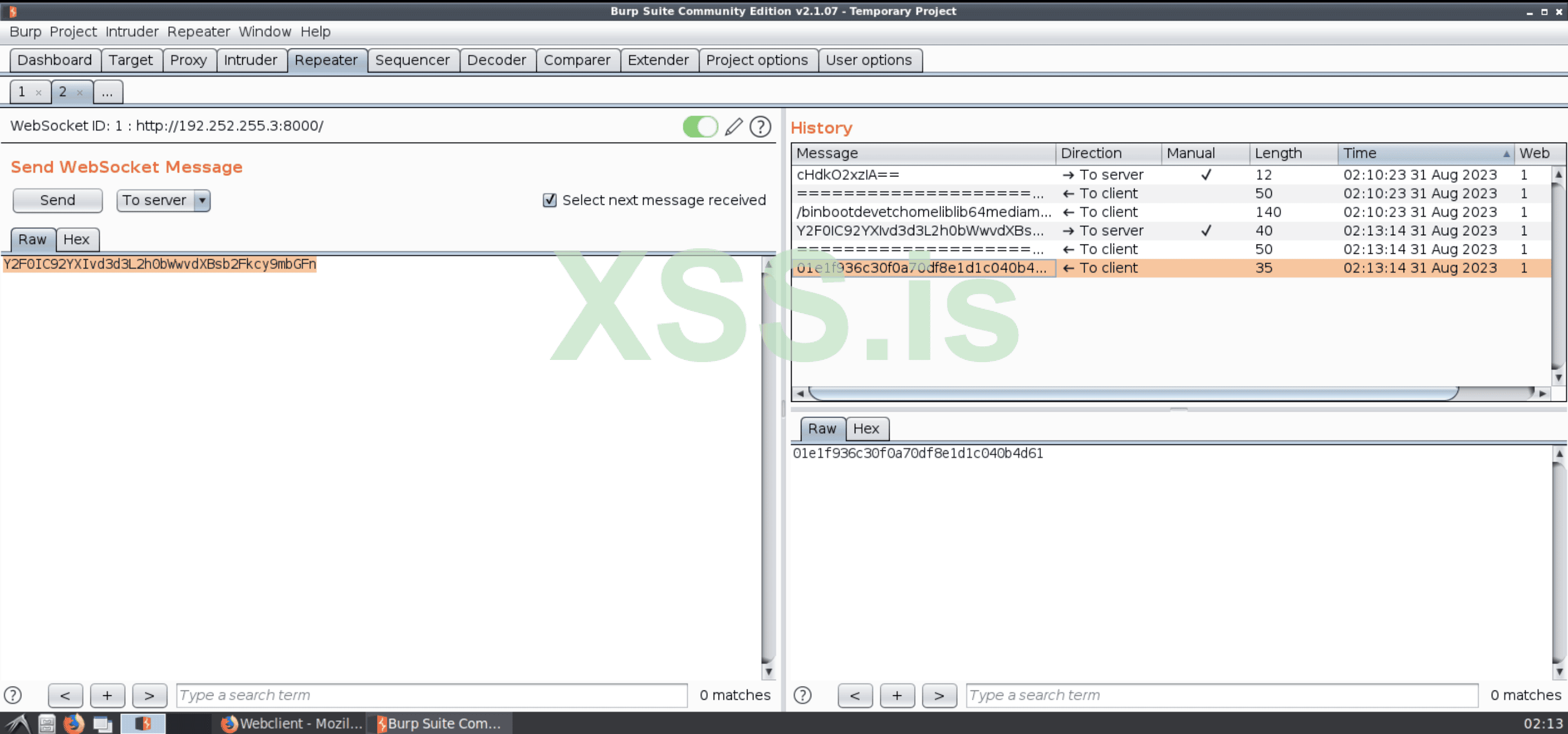 Изображение [23]: Кодирование полезной нагрузки, предназначенной для получения флага