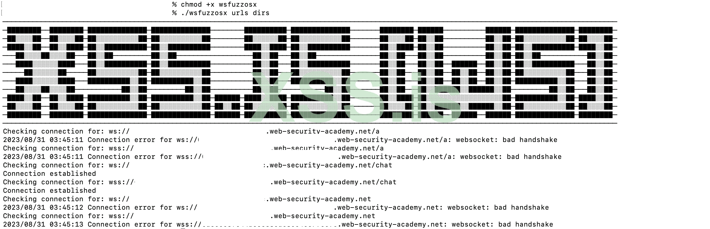 Изображение [30]: WSFuzz