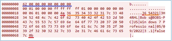Рисунок 2.2 – Регистрационный пакет на сервер C2