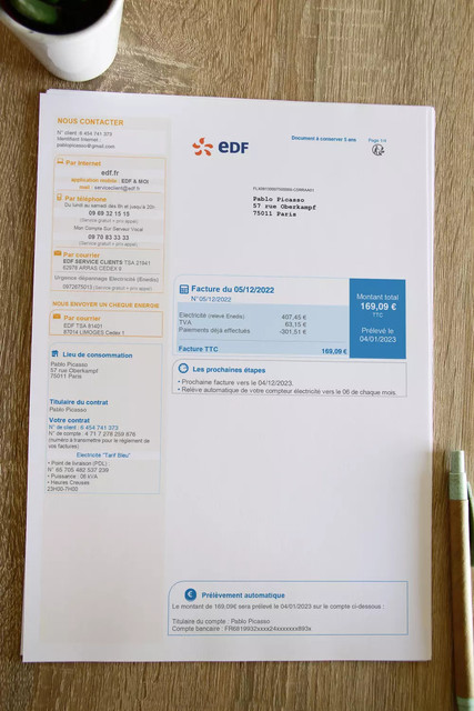 stromrechnung-fr-edf-jpg-8a87097e3ed24d28fce769d857038c67.jpg